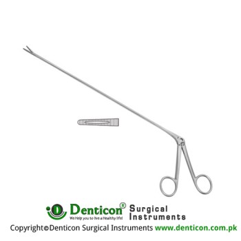 Mathieu Foreign Body Forcep Stainless Steel, 28 cm - 11"